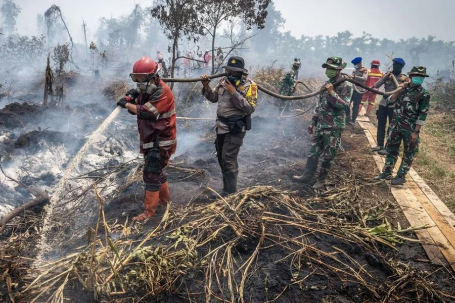 Karhutla Picu 13.449 Kasus ISPA, Kemenkes Kerahkan 848 Tenaga Kesehatan Karhutla Picu 13.449 Kasus ISPA, Kemenkes Kerahkan 848 Tenaga Kesehatan
