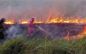 11 Daerah di Riau Siaga Darurat Karhutla, Api Masih Tak Padam di Sejumlah Titik