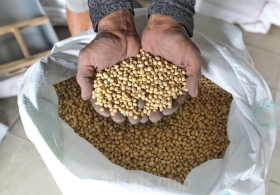 Harga Kedelai Naik, Pemerintah Siapkan Subsidi Rp2.000 per Kg untuk Perajin Tahu dan Tempe